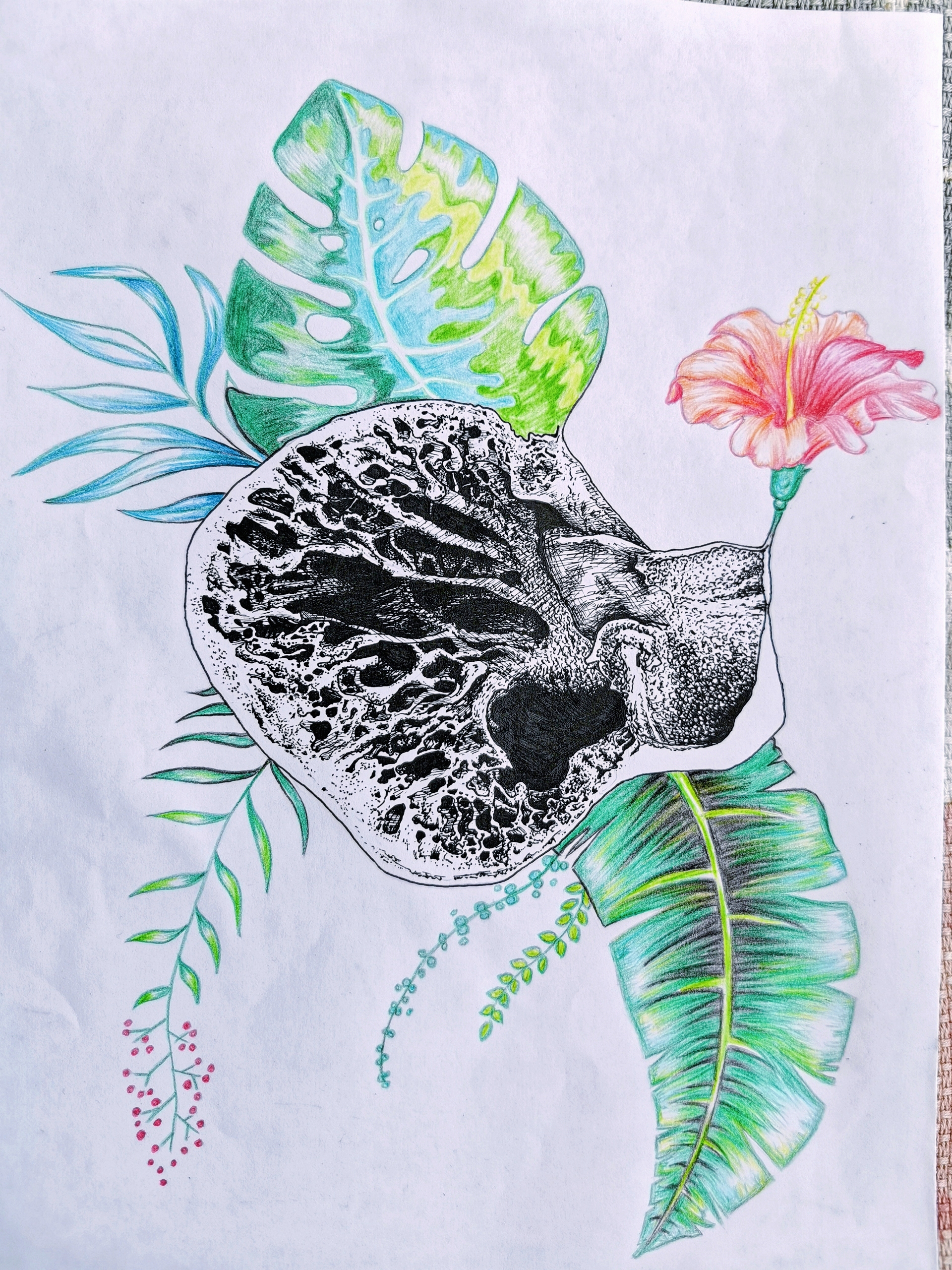 二等奖2019080319-焦依帆-心脏内部分隔扫描电镜图.jpg